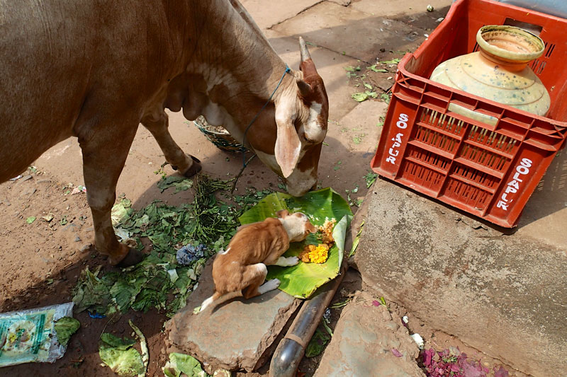 India